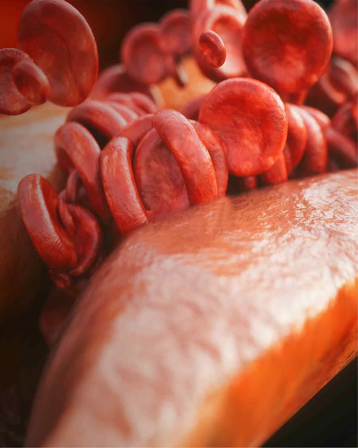 https://ocyra.co.uk/wp-content/uploads/2021/08/interactive_image_right.jpg